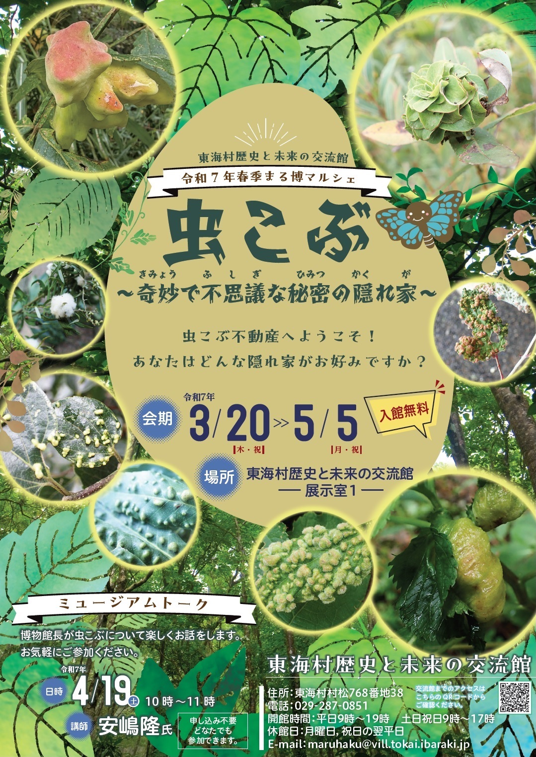 春季まる博マルシェ虫こぶ