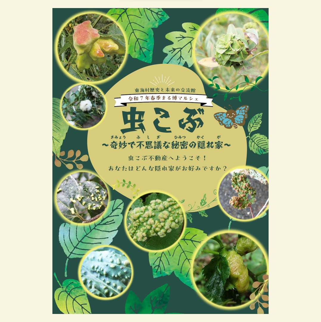 図録虫こぶ