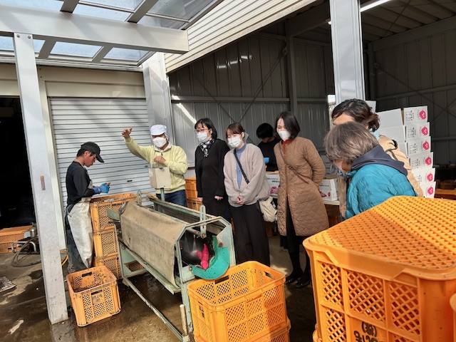 さつまいも洗い機