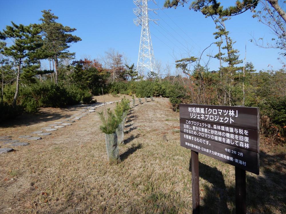 村松晴嵐の碑写真
