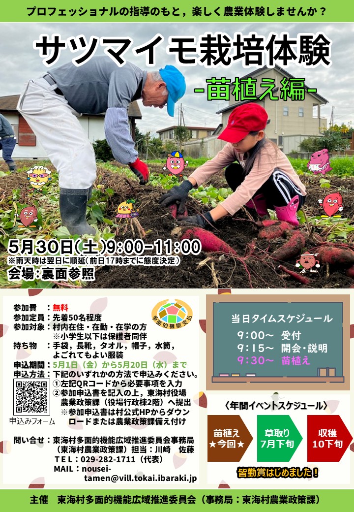 サツマイモ栽培体験（苗植え編）チラシ