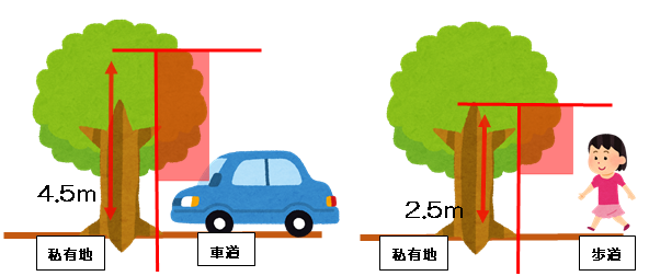 私有地側4.5メートルの木と車道に車、私有地側に2.5メートルの木と歩道を歩く人のイラストで道路の建築限界を説明した画像