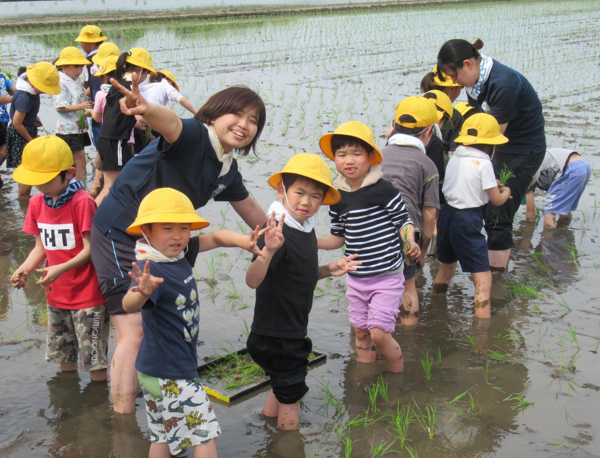 照沼小学校児童が田植えをしている写真