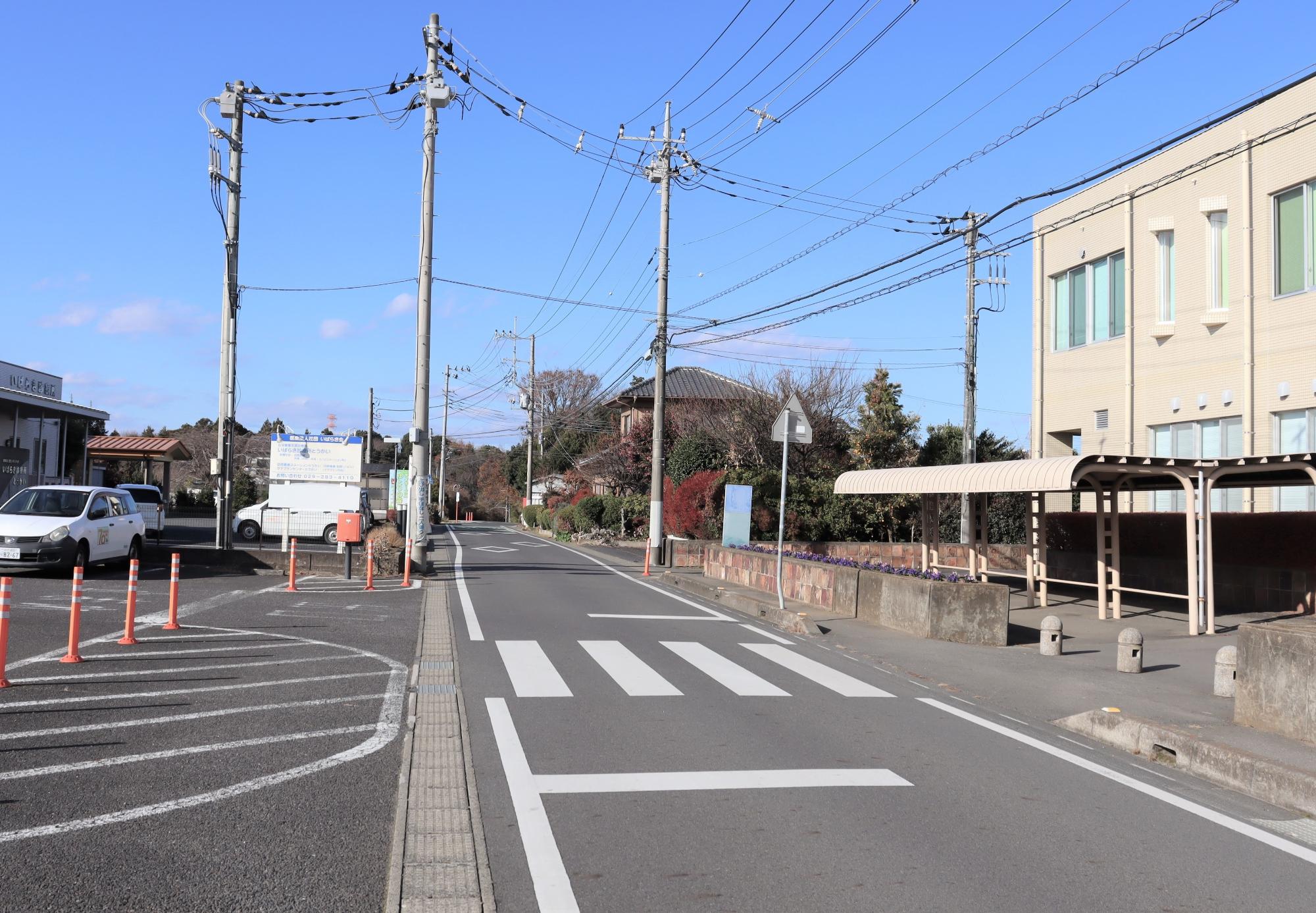 写真7 2025年の写真6地点のようす南から