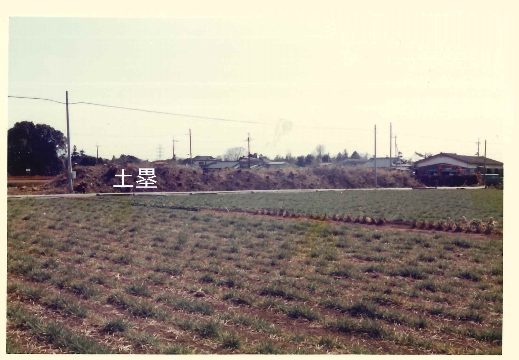 写真8 1983年の堀土塁のようす西から