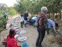 皆で晴嵐の碑周辺に植えている様子