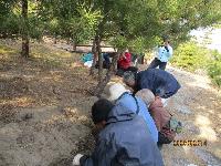 球根を植える人々