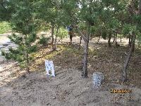 球根を植えた所にたてた看板