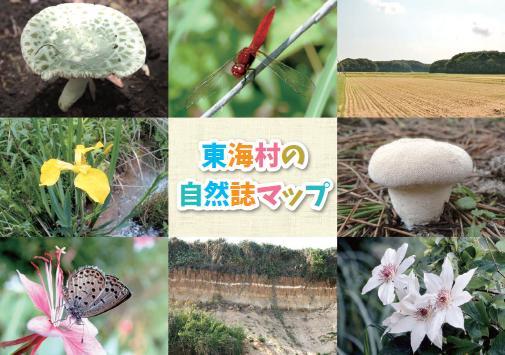 東海村の自然誌マップ：きのこ、菖蒲、地層や赤とんぼ、蝶など様々なカット写真