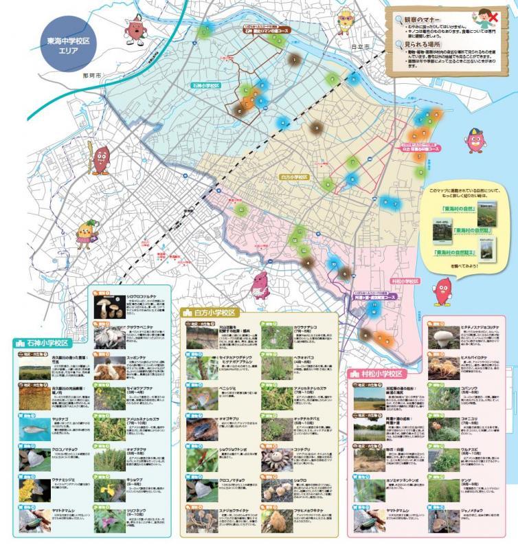 東海中学校区エリアのイラストマップ：石神小学校区、白方小学校区、村松小学校区のそれぞれのエリアで自然観察できるものを紹介している。