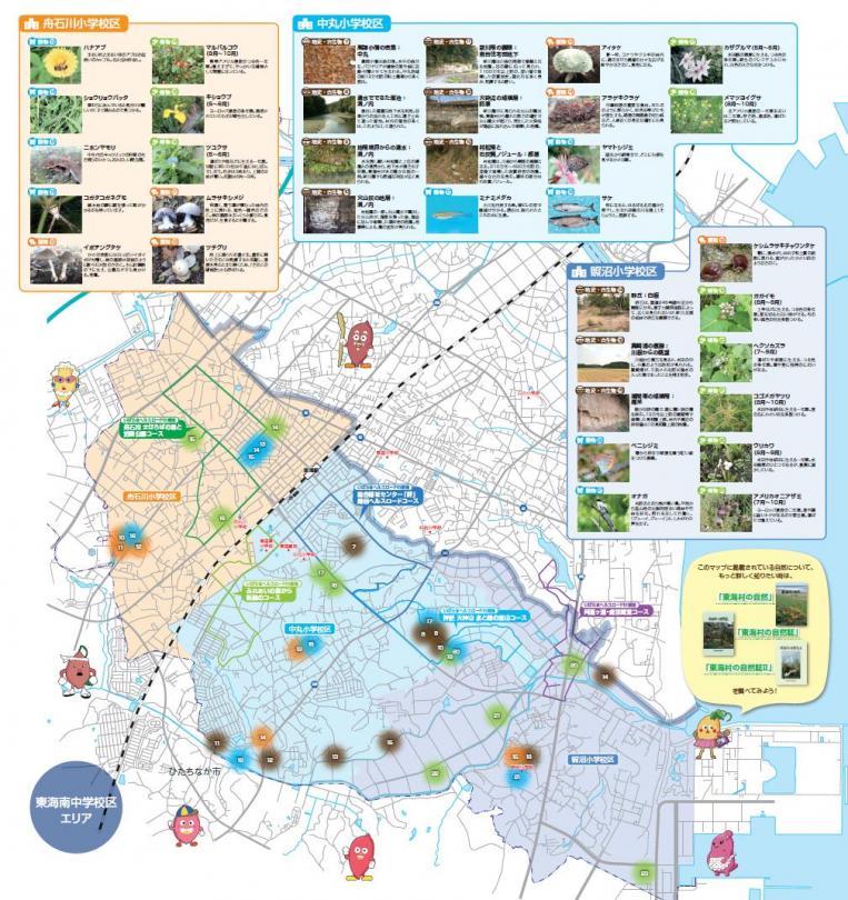 東海中学校区エリアのイラストマップ：舟石川小学校区、中丸小学校区、照沼小学校区のそれぞれのエリアで自然観察できるものを紹介している。