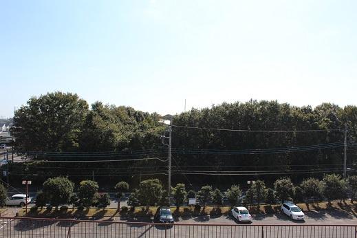 定点カメラの画像：薄く引いた雲の広がる晴天に緑が濃く生い茂り、駐車場に数台の車が停まっている