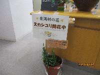 hisyositu2026
