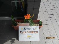 masakikomisen2026