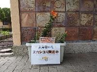 murakomi2026