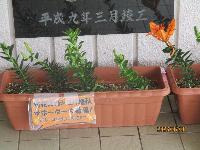 nakamarukomisen2026