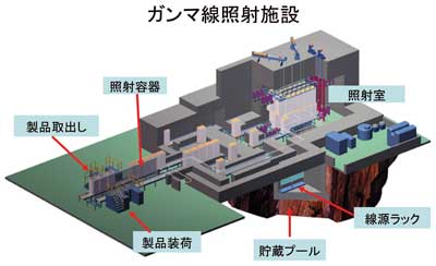 ガンマ線照射装置