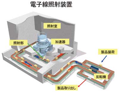 電子線照射装置