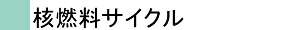 核燃料サイクル