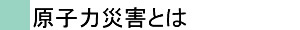 原子力災害とは