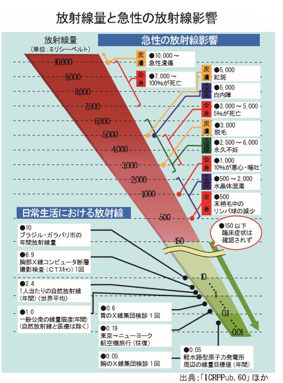 放射線量と急性の放射線影響