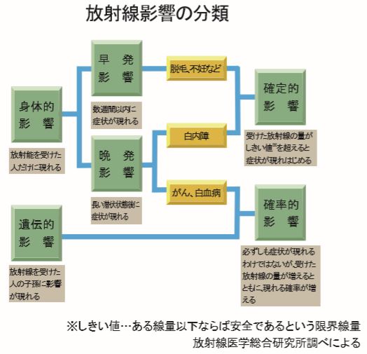 放射線影響の分類