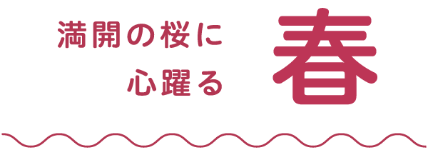 春　満開の桜に心躍る